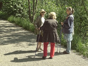 Johnny Soderberg Flicker trekking poles