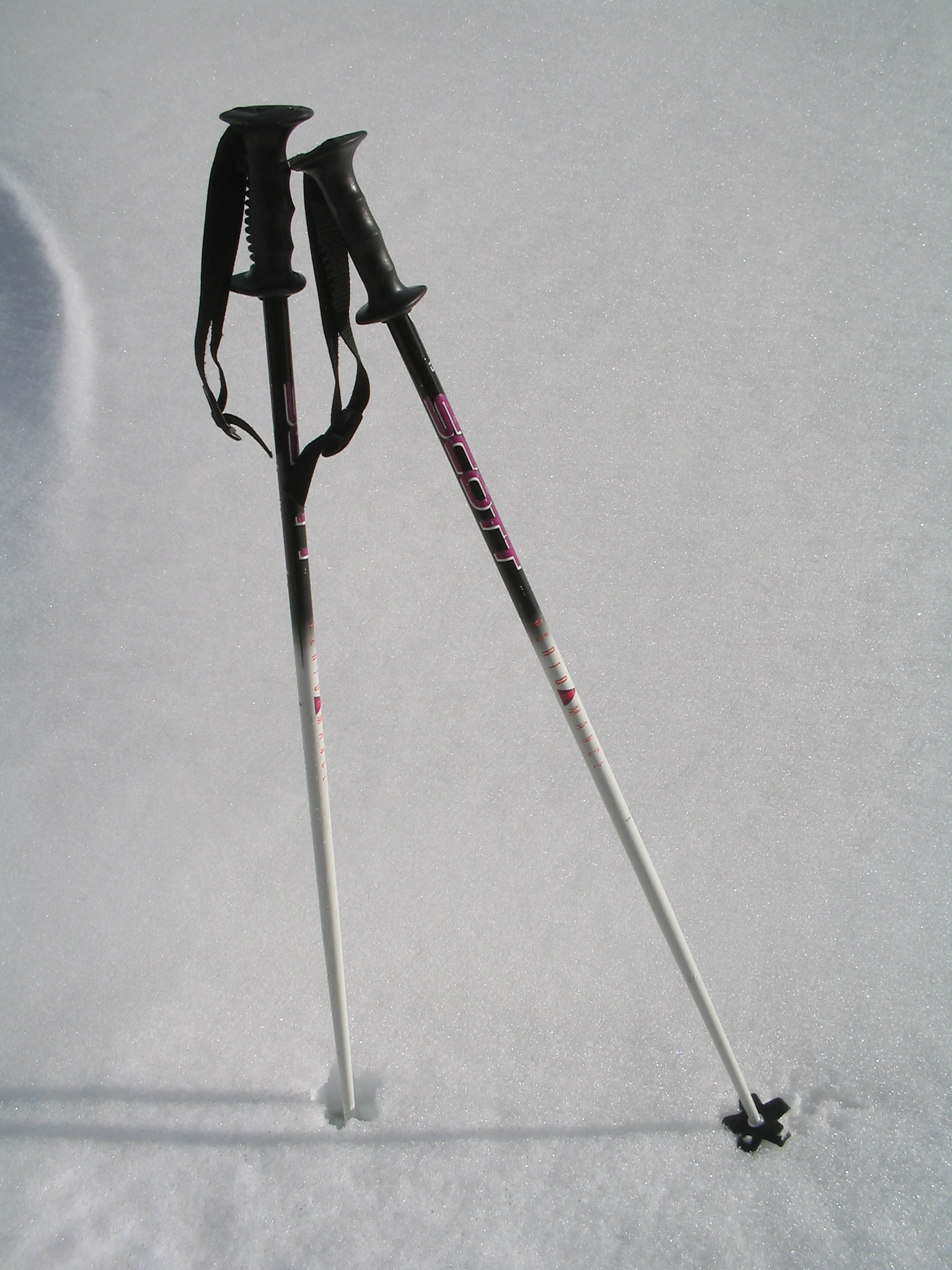 Ski_poles wiki