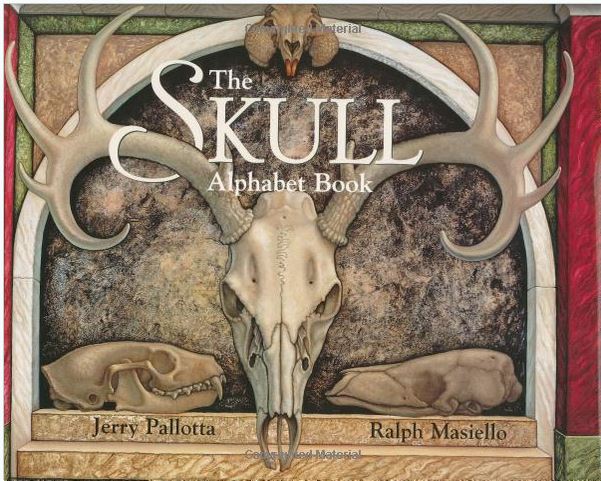 skull alphabet book