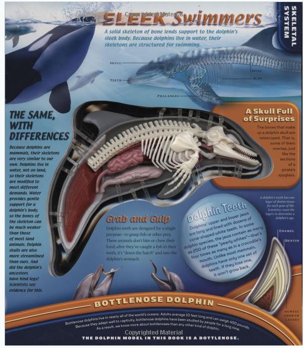 Uncover 3-D Book Uncover books