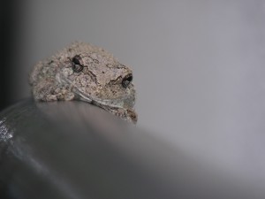 DSCN1588