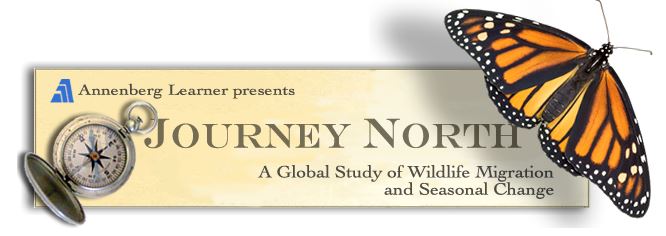 Journey North 3