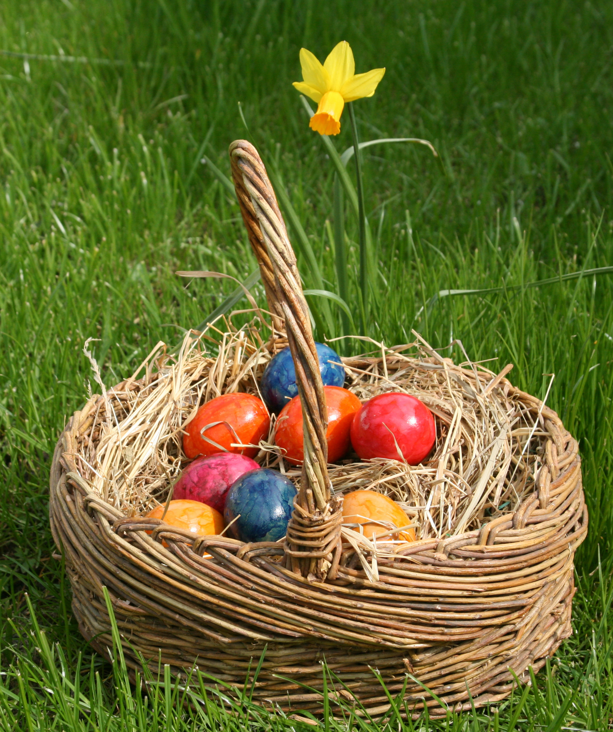 Eastereggs_ostereier