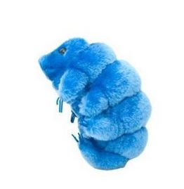 Tardigrade giant microbe