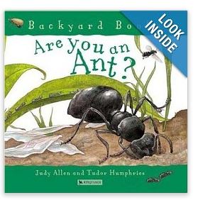 are you an ant