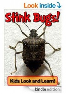 stink bug book