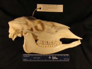 12092010_Right_View