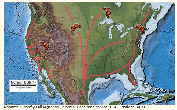 usgs butterfly monarch map