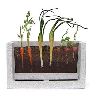 root view farm