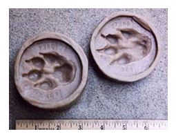 track molds