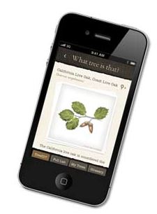 arbor app