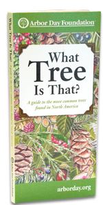 arbord day book