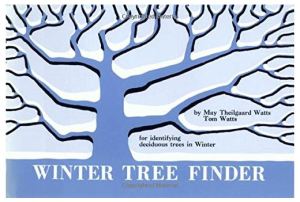 winter tree book