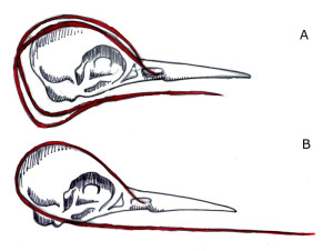 figure9
