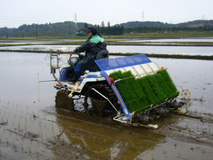 Rice-planting-machine_2,katori-city,japan