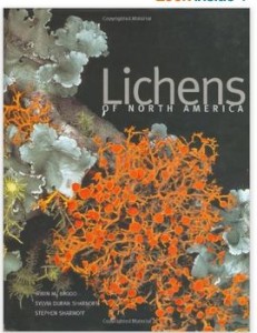 lichen book