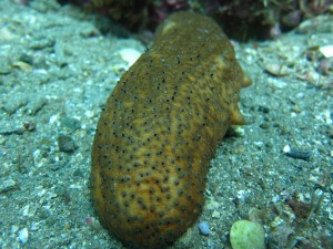 IMG_1816